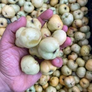 Alıç Yabani 1 Kg.