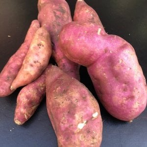 Tatlı Patates (1000 Gr.) 15 EYLÜLDE STOKLARDA