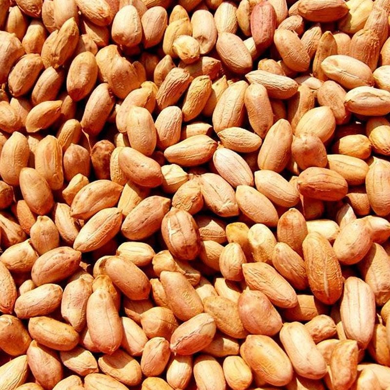 Yer Fıstığı Kabuksuz Tuzsuz  (1000 Gr.)