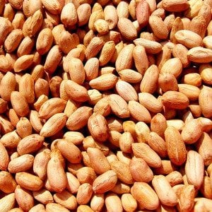 Yer Fıstığı Kabuksuz Tuzsuz  (1000 Gr.)