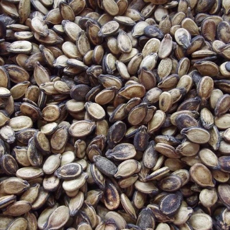 Karpuz Çekirdeği (1000 Gr.)