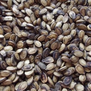 Karpuz Çekirdeği (1000 Gr.)