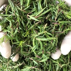 Taze Zahter ( Dağ Kekiği ) NİSAN,MAYIS AYINDA STOKTA