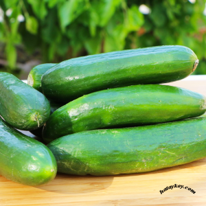 Samandağ Yerli Salatalık (1000 Gr.)