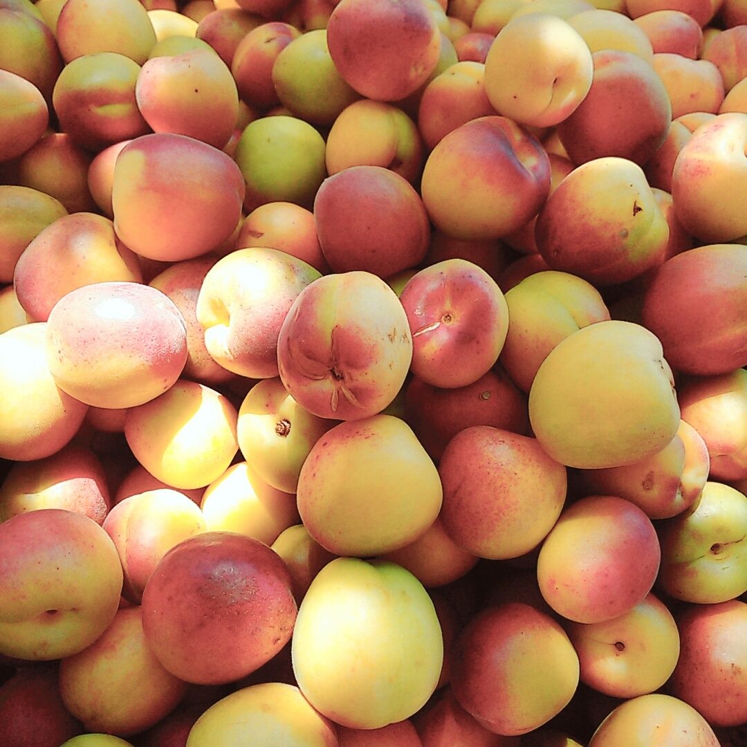 Kayısı Şekerpare 1000 Gr.