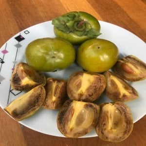 Hatay Hurması