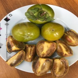 Hatay Hurması