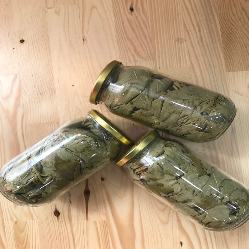 Kuru Basım Asma Yaprağı (500 Gr.)