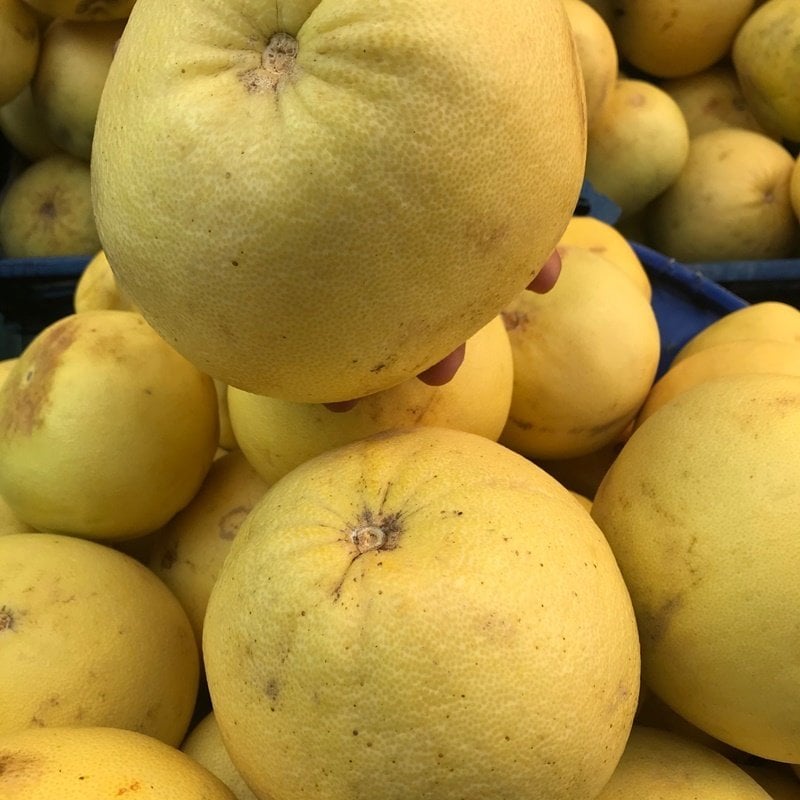 Şadok Ağaç Kavunu (3 Kg.) 2026 11.ay STOKLARDA