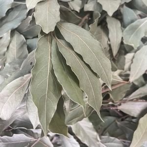 Defne Yaprağı (40 Gr.)