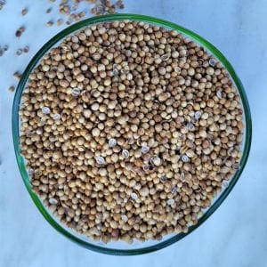 Kişniş Küzbara Tane 250 Gr