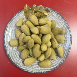 Çağla Turşusu 600 Gr