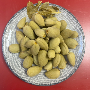 Çağla Turşusu 600 Gr