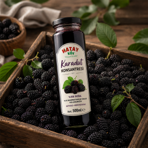 Karadut Konsantresi 500ml