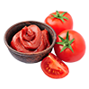 Salçalar 